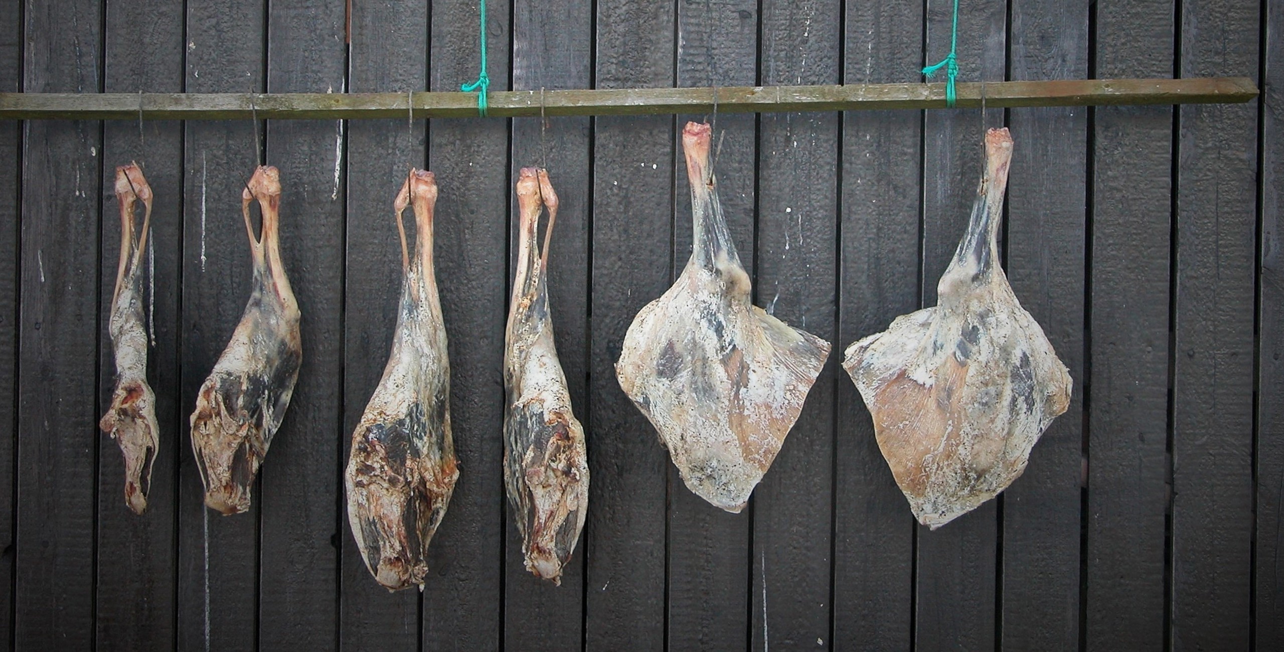 Modern Faroese dish incorporating traditional fermentation